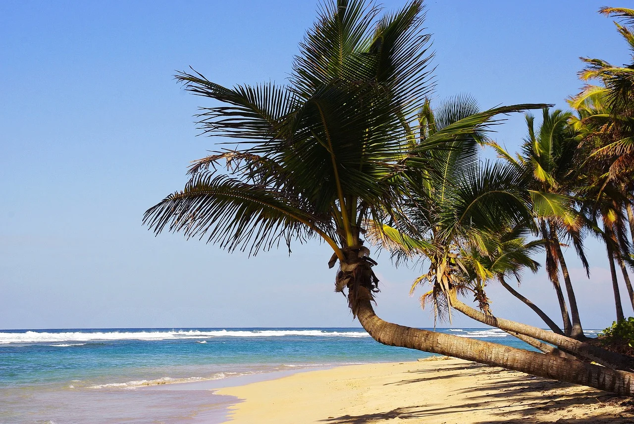 Fiestas Patrias Punta Cana
