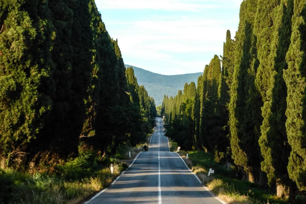 Fiesta de la trufa en la toscana