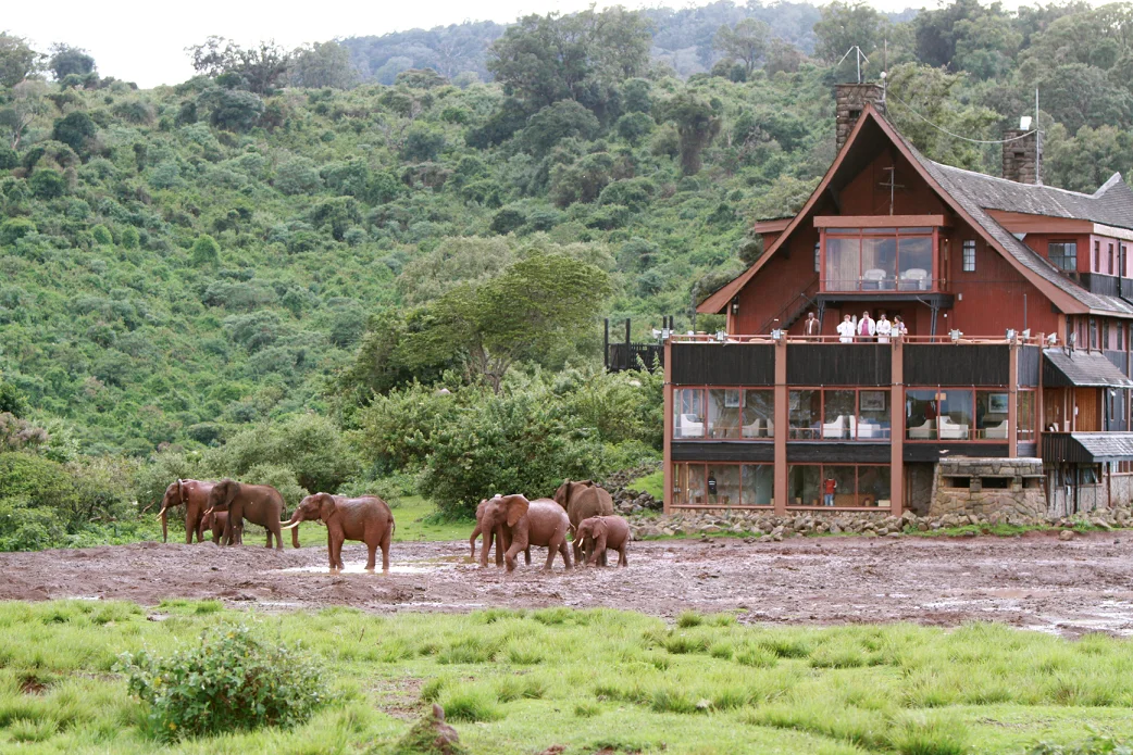 Kenia y Tanzania