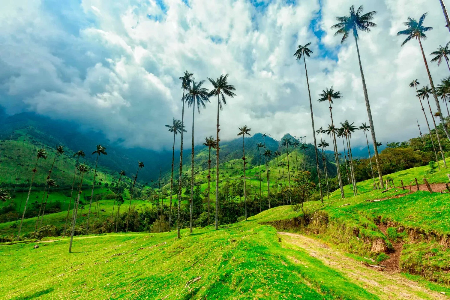 Zona Cafetera Colombia